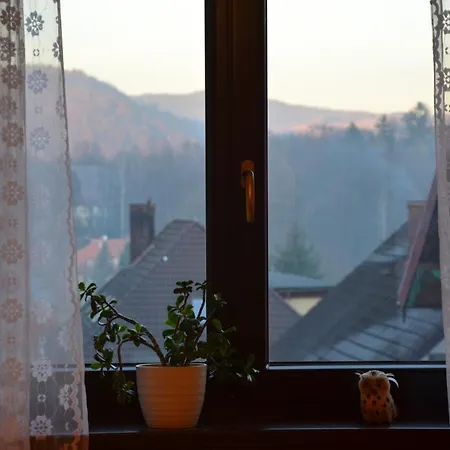 펜션 Dom Puchacza W Ladku-zdroju