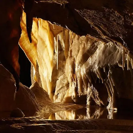 펜션 Dom Puchacza W Ladku-zdroju Lądek-Zdrój