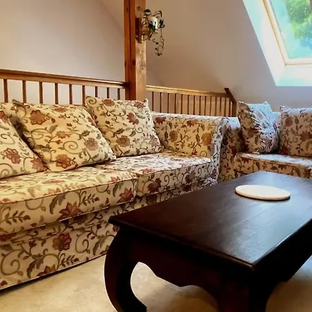 Dom Puchacza W Ladku-zdroju *