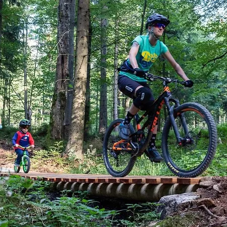 펜션 Dom Puchacza W Ladku-zdroju Lądek-Zdrój