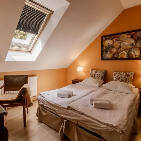 Dom Puchacza W Ladku-zdroju Lądek-Zdrój