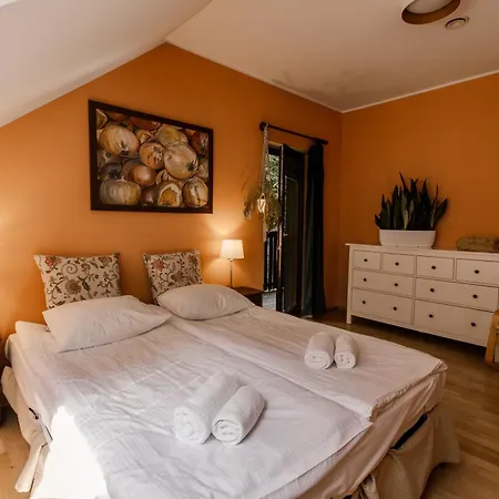 Dom Puchacza W Ladku-zdroju * Lądek-Zdrój