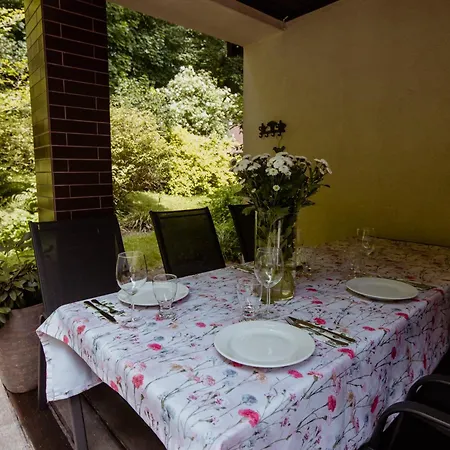 Dom Puchacza W Ladku-zdroju * Lądek-Zdrój