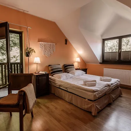 Dom Puchacza W Ladku-zdroju * Lądek-Zdrój