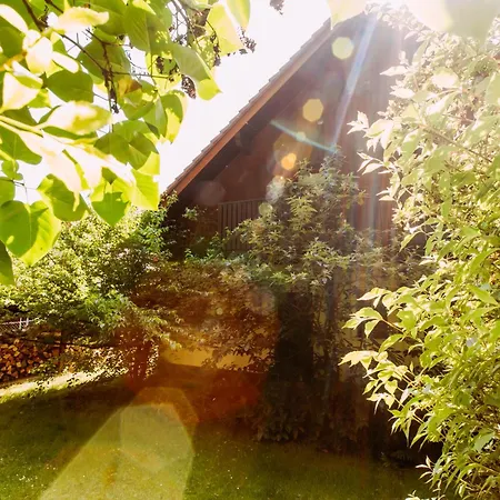 Dom Puchacza W Ladku-zdroju * Lądek-Zdrój