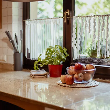 펜션 Dom Puchacza W Ladku-zdroju *