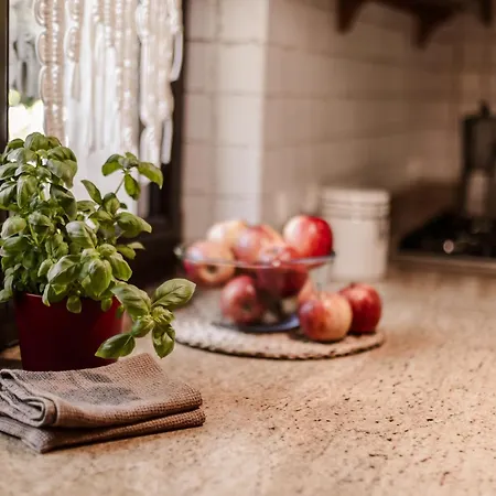 Dom Puchacza W Ladku-zdroju *