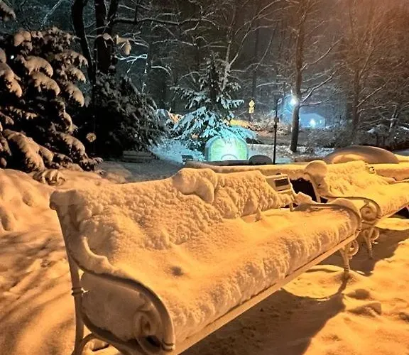 Dom Puchacza W Ladku-zdroju