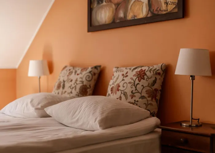 Dom Puchacza W Ladku-zdroju