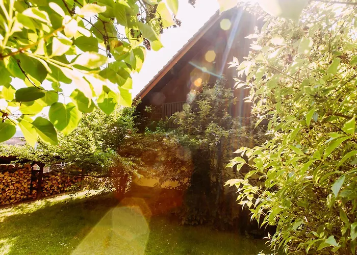 Dom Puchacza W Ladku-zdroju * Lądek-Zdrój